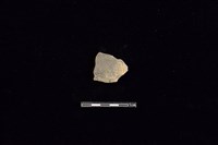 陶片藏品圖，第1張